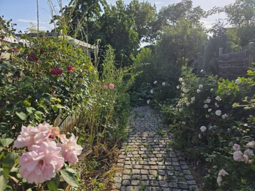 3-Zimmer-Mietwohnung mit Stellplatz und Garage sowie Garten mit Freisitz und Teich sowie Wasserlauf in 97456 Sennfeld (1592) - Erdgeschoßwohnung Sennfeld Sennfeld | Angebot:25521331